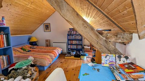 photo no. 11