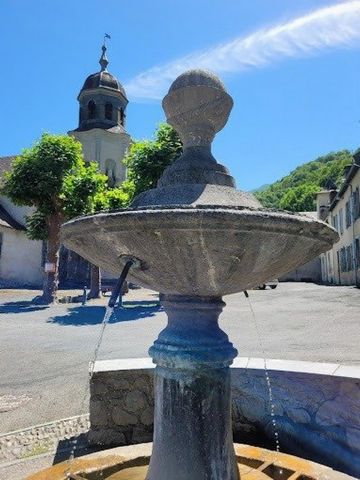photo no. 6