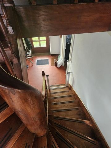 photo no. 14