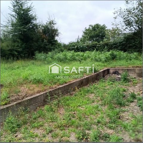 photo no. 16