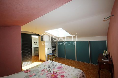photo no. 12