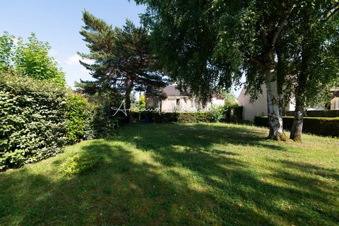 photo no. 10