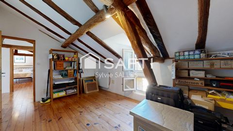 photo no. 8