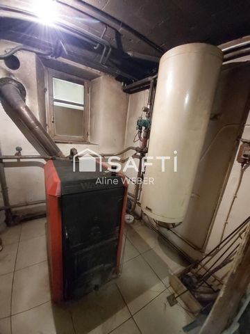 photo no. 12