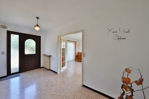 photo no. 2