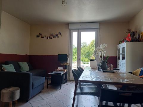 photo no. 10