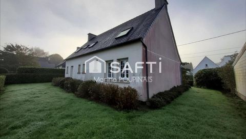 photo no. 11