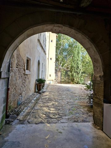 photo no. 9