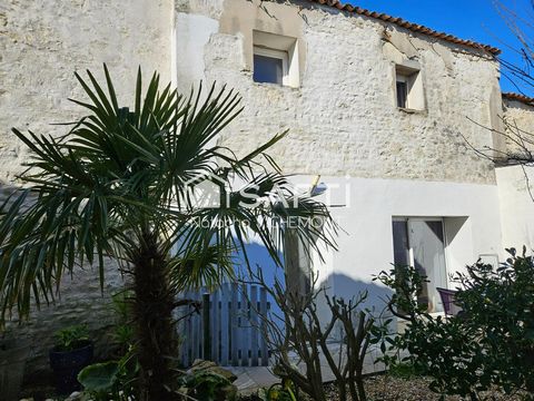 photo no. 10