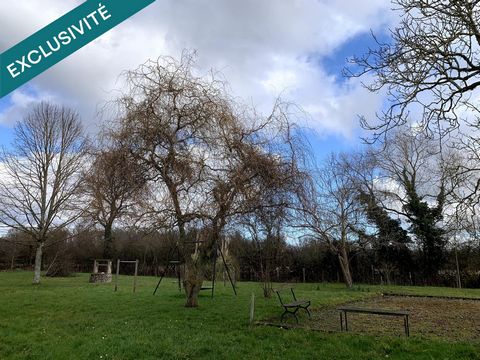 photo no. 14