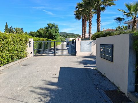 photo no. 9