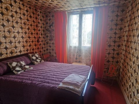 photo no. 8