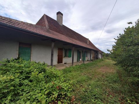 photo no. 7