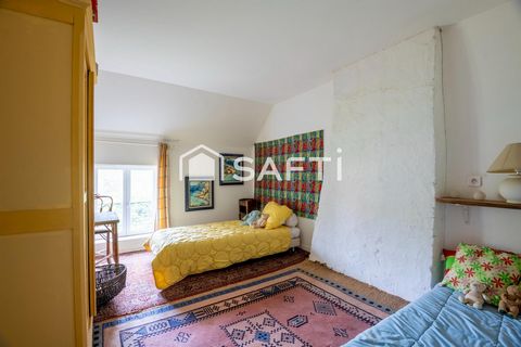 photo no. 11