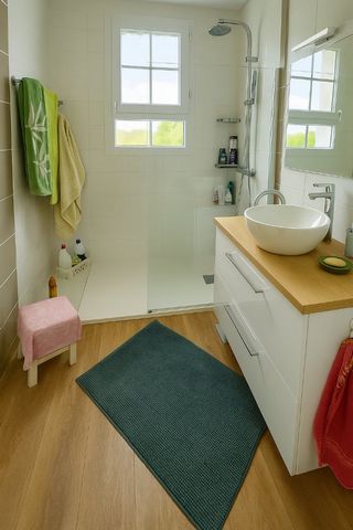 photo no. 8