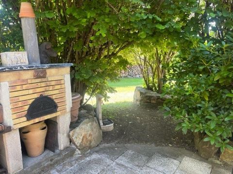 photo no. 6