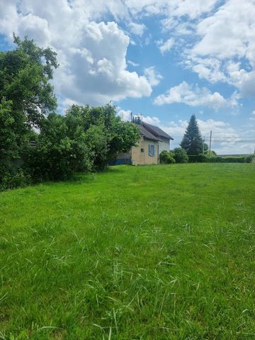 photo no. 5
