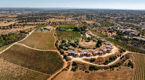 Set in a serene location, within 7 hectares of nature, overlooking the vineyards, pine and almond trees, these designer villas redefine luxury with a sustainable edge. The utmost respect for the natural beauty in which the properties are being constr...