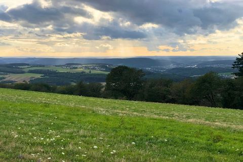 Dit uitnodigende appartement, verscholen in het charmante dorpje Pellingen, biedt een knus toevluchtsoord voor stellen, kleine gezinnen of individuele reizigers die de schoonheid van de regio Rijnland-Palts willen ervaren. Het zorgvuldig ingerichte a...