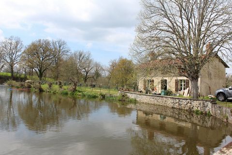 photo no. 8