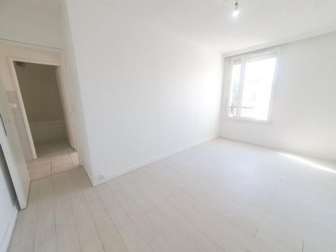 photo no. 6