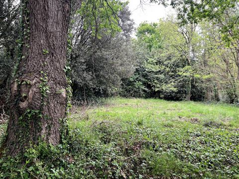 photo no. 10