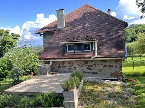 photo no. 16