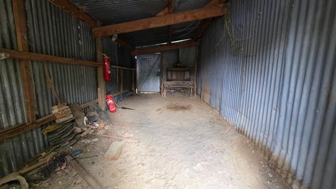 photo no. 11