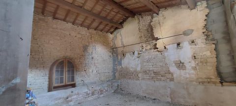 photo no. 8
