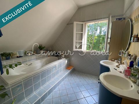 photo no. 11
