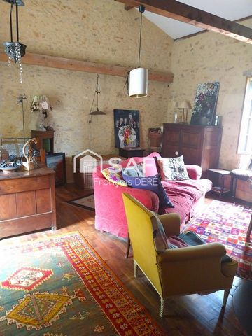 photo no. 6