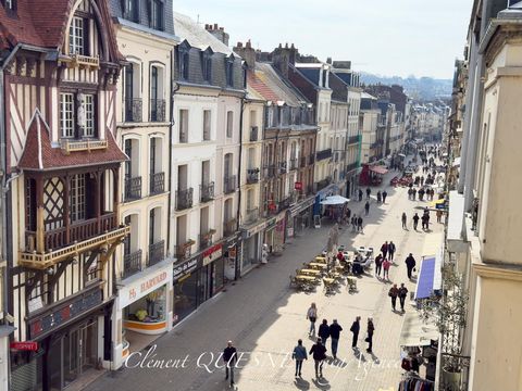 photo no. 13