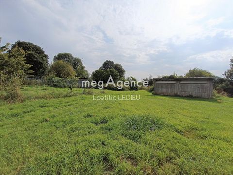 photo no. 15