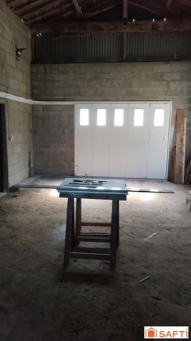 photo no. 10