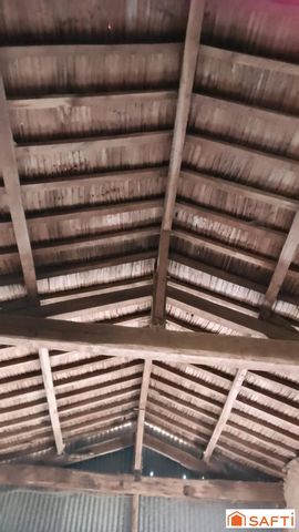 photo no. 12
