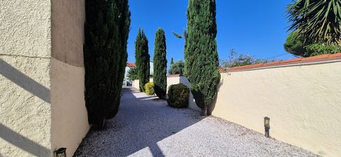 photo no. 6