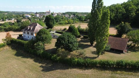 photo no. 8