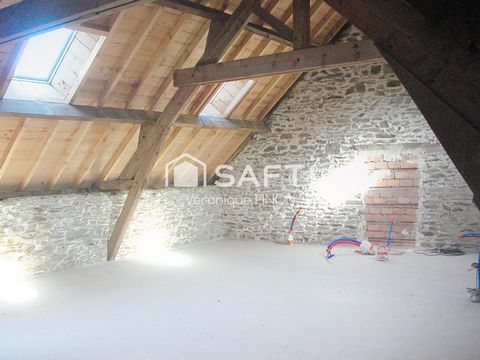 photo no. 4