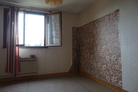 photo no. 10