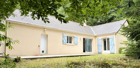 photo no. 10