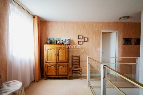 photo no. 16