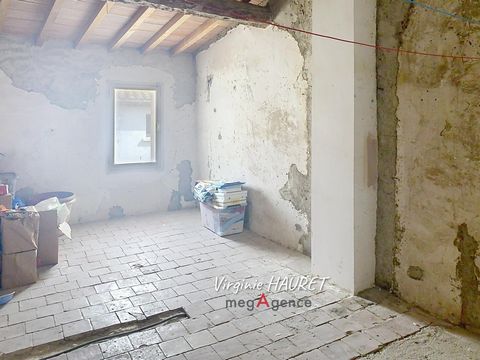 photo no. 11