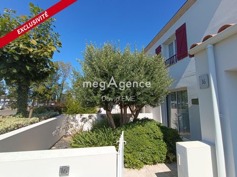 photo no. 10
