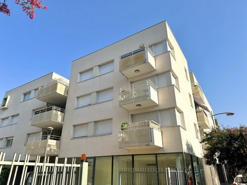 photo no. 12