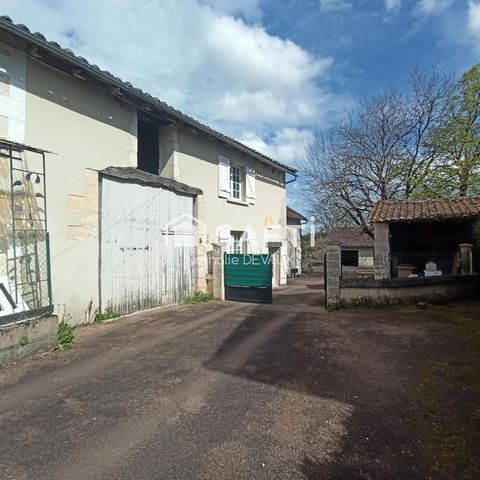 photo no. 2