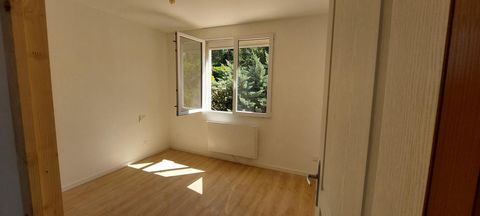 photo no. 8