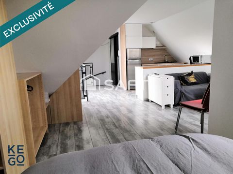 studio meublé en duplex+cave 29 m2 loi carrez