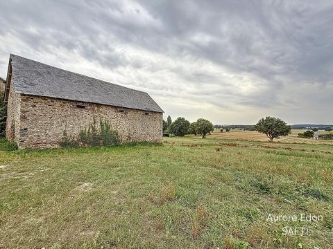 photo no. 10