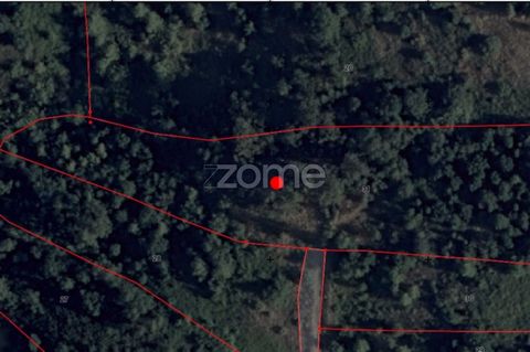 Property ID: ZMPT548842 Rustic land with an area of 6,520 m2 for agricultural use with arable culture (apple trees, pear trees and vineyards). Mark your visit! 3 reasons to buy with Zome + follow-up With a unique preparation and experience in the rea...