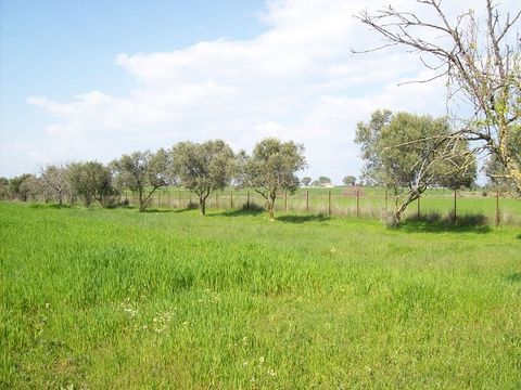 For sale plot of land 16.000 sq.m. in Achaea, Peloponnese. The plot is not included in the city plan. Suitable for building construction and agricultural purposes. Price 95.000euros